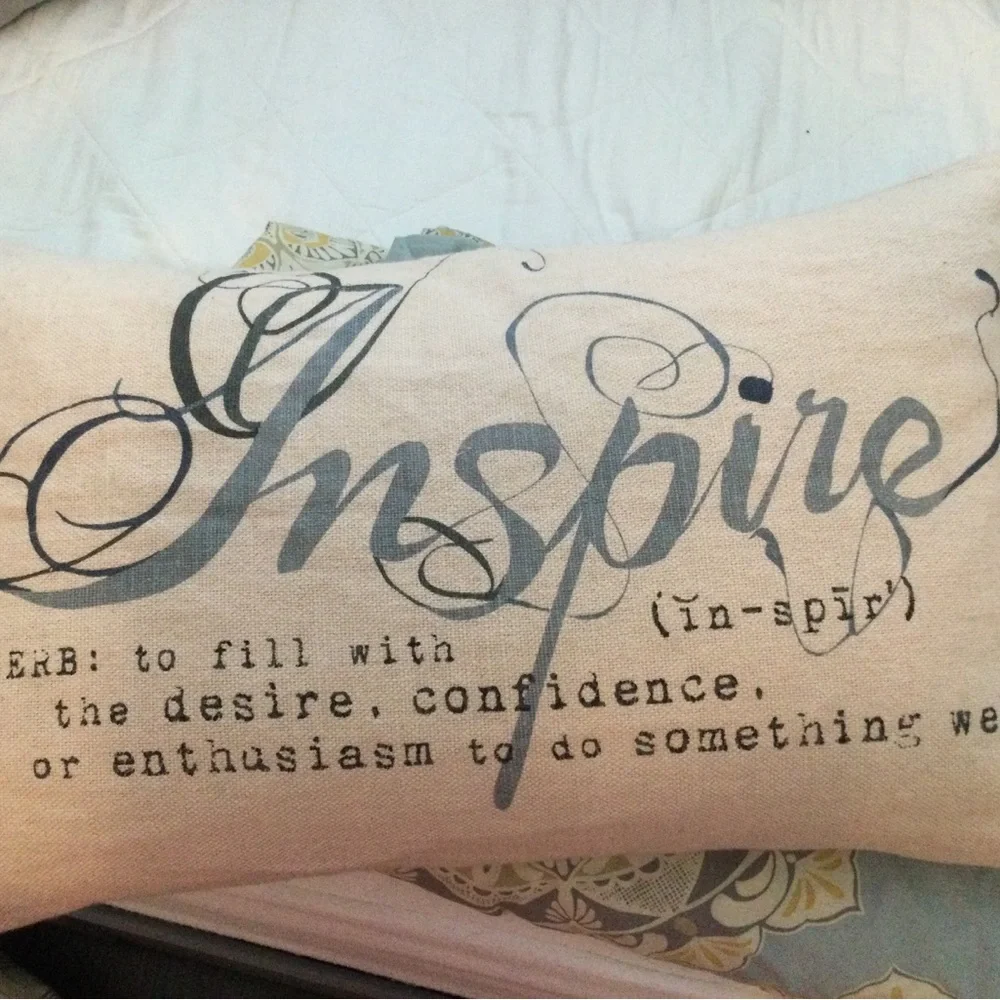 Pottery Barn throw pillow